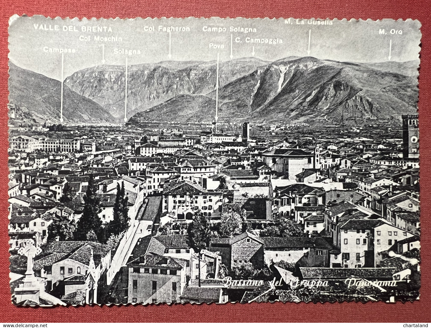 Cartolina - Bassano Del Grappa - Panorama - 1950 Ca. - Vicenza