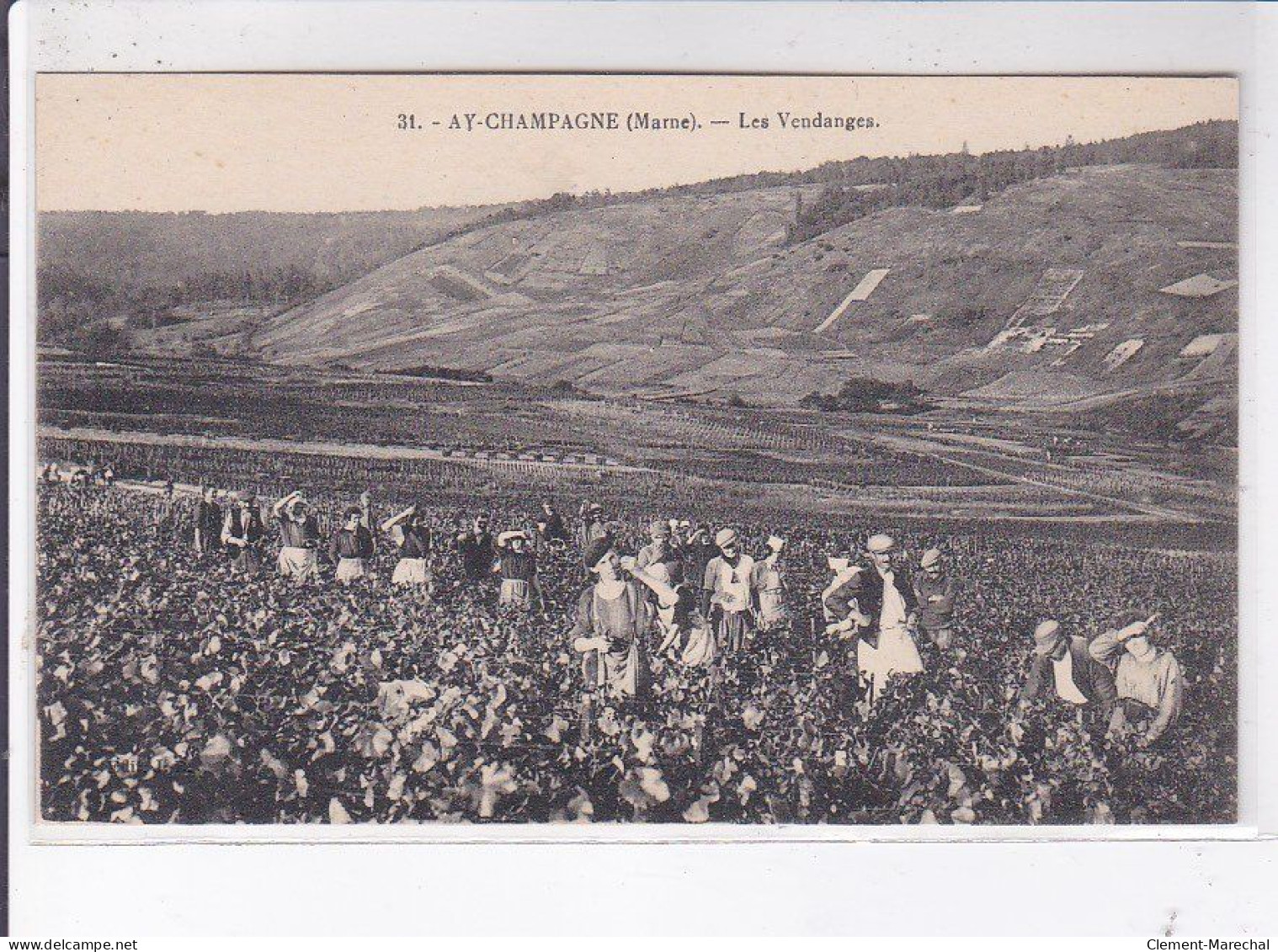 AY-CHAMPAGNE: Les Vendanges - Très Bon état - Ay En Champagne