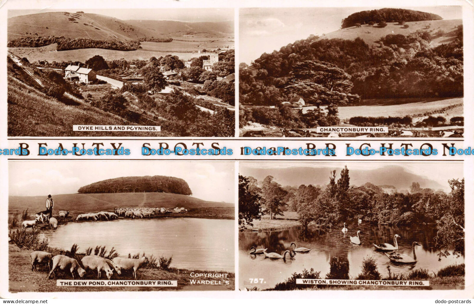 R106917 Beauty Spots Near Brighton. Multi View. Wardell. RP. 1951 - Welt