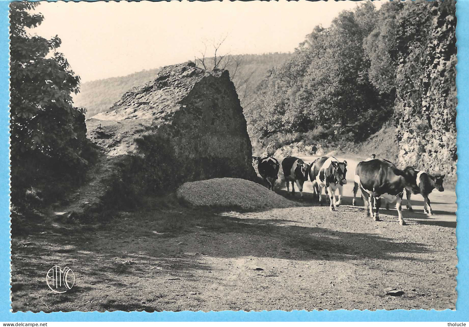 Les Ardennes Françaises-La Vallée De La Semoy (Semois)-Tournavaux (Haulmé -Bogny-sur-Meuse )-La Roche Aux Corpias-Vaches - Montherme