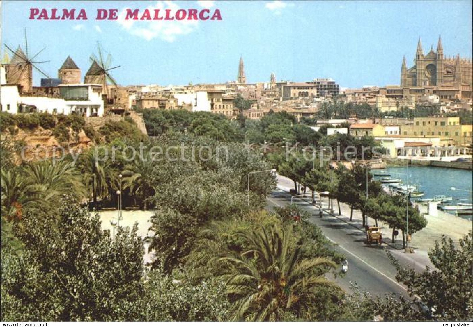 72230235 Mallorca Seeallee Dom Mallorca - Other & Unclassified