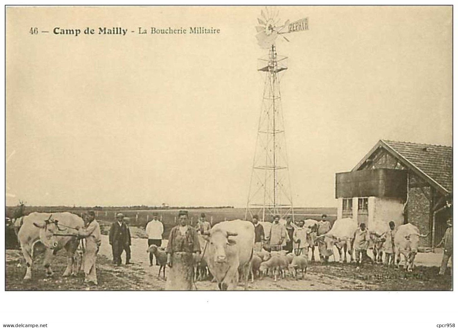 10.MAILLY LE CAMP.n°2795.LA BOUCHERIE MILITAIRE - Mailly-le-Camp