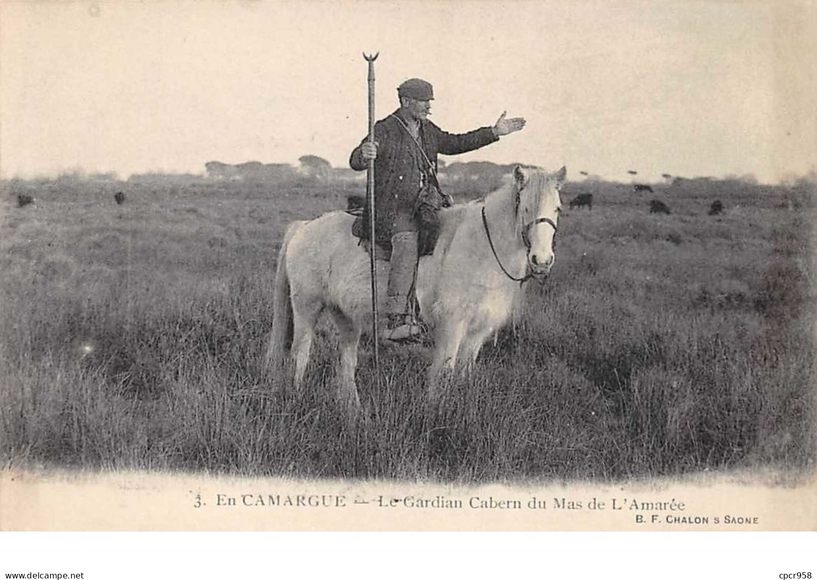 13. N°55591.en Camargue.le Gardian Cabern Du Mas De L'amarée - Other & Unclassified