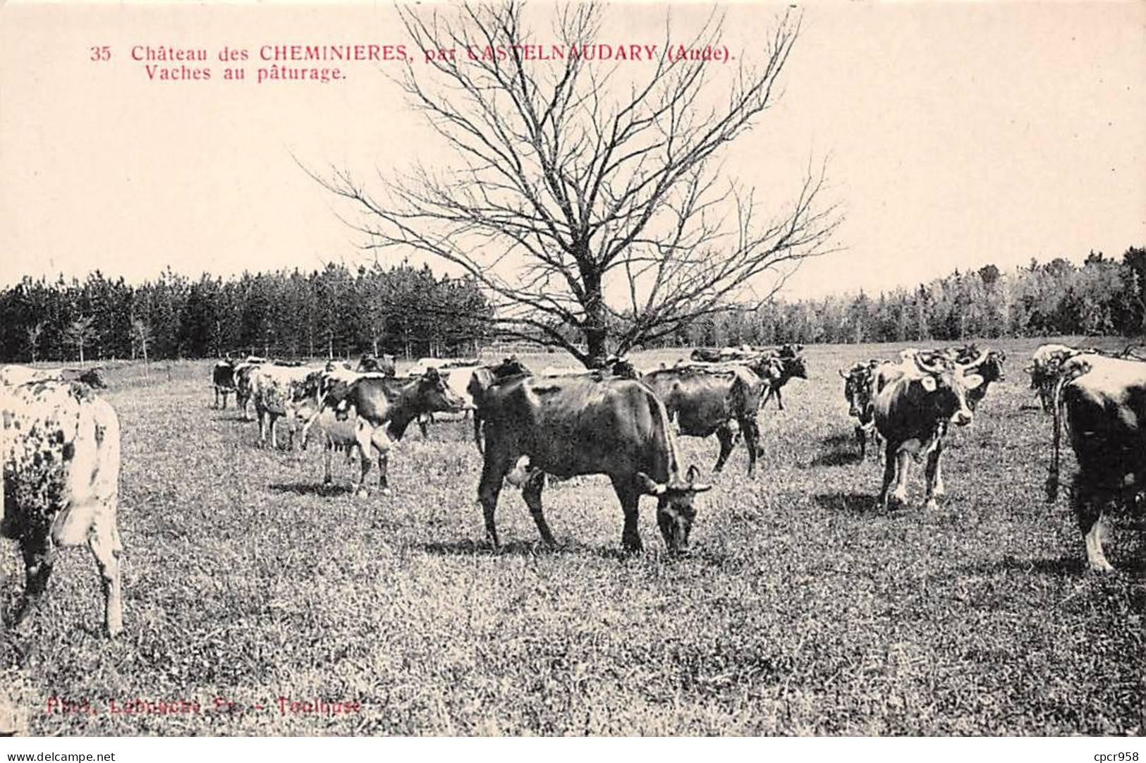 11 - CHEMINIERES - SAN31636 - Par Castelnaudary - Vaches Au Pâturage - Sonstige & Ohne Zuordnung