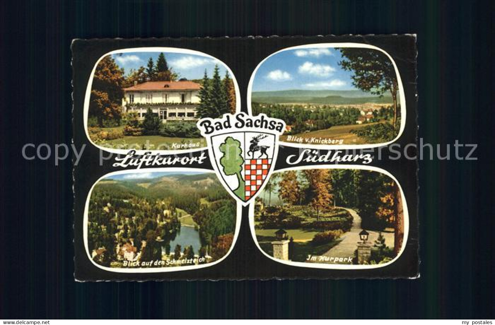 72229579 Bad Sachsa Harz Kurhaus Knickbergblick Schmelzteich Kurpark Bad Sachsa - Bad Sachsa