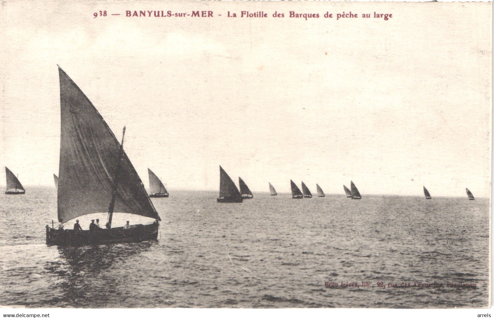 FR66 BANYULS SUR MER - Brun 938  - La Flotille Des Barques De Pêche Au Large - Banyuls Sur Mer