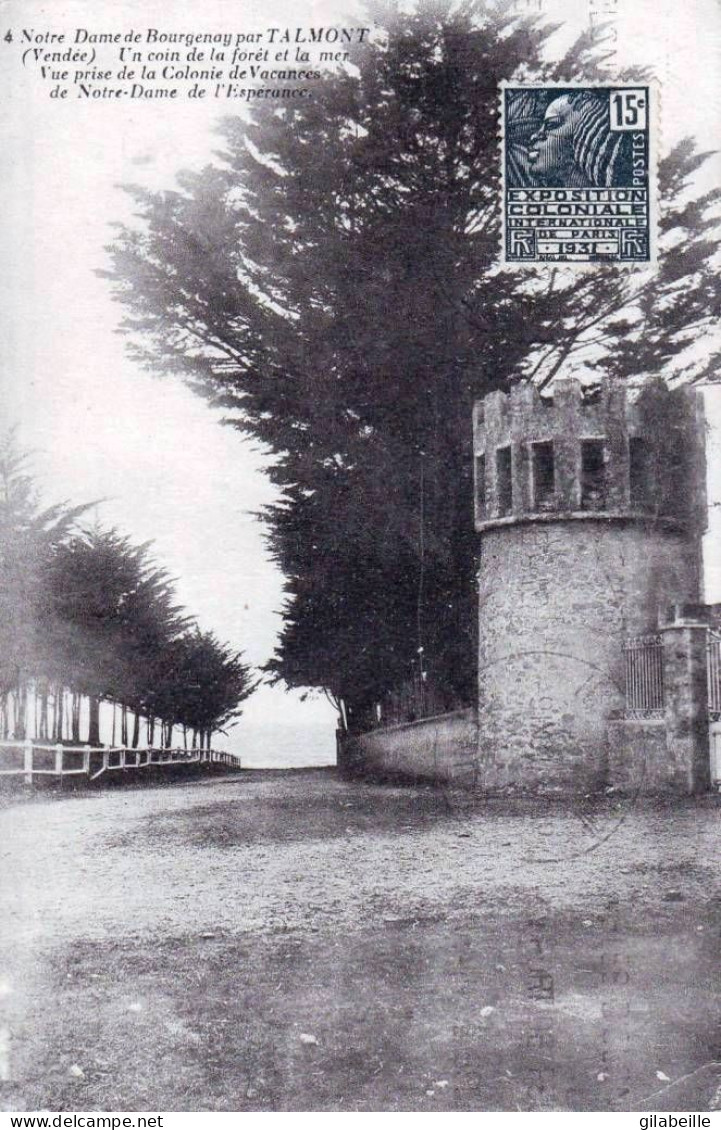 85  - Vendée -  Notre Dame De Bourgenay Par TALMONT SAINT HILAIRE - Un Coin De Foret Et La Mer - Talmont Saint Hilaire