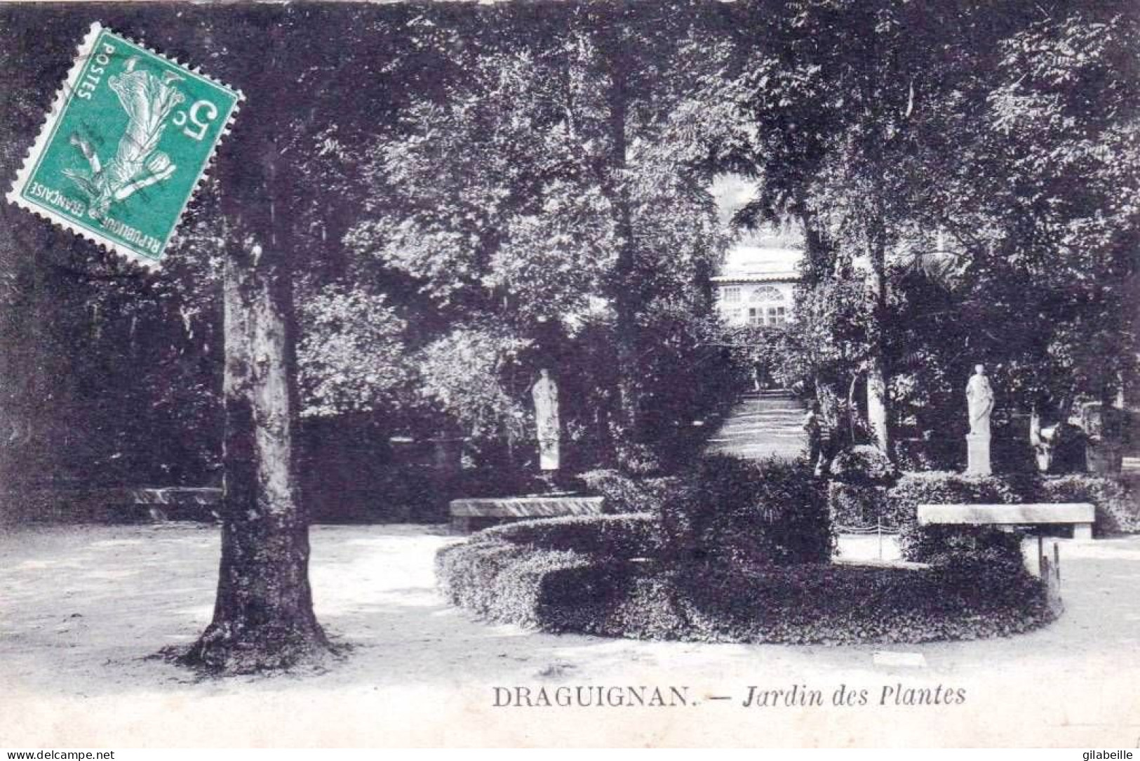 83 - Var -  DRAGUIGNAN -  Jardin Des Plantes - Draguignan