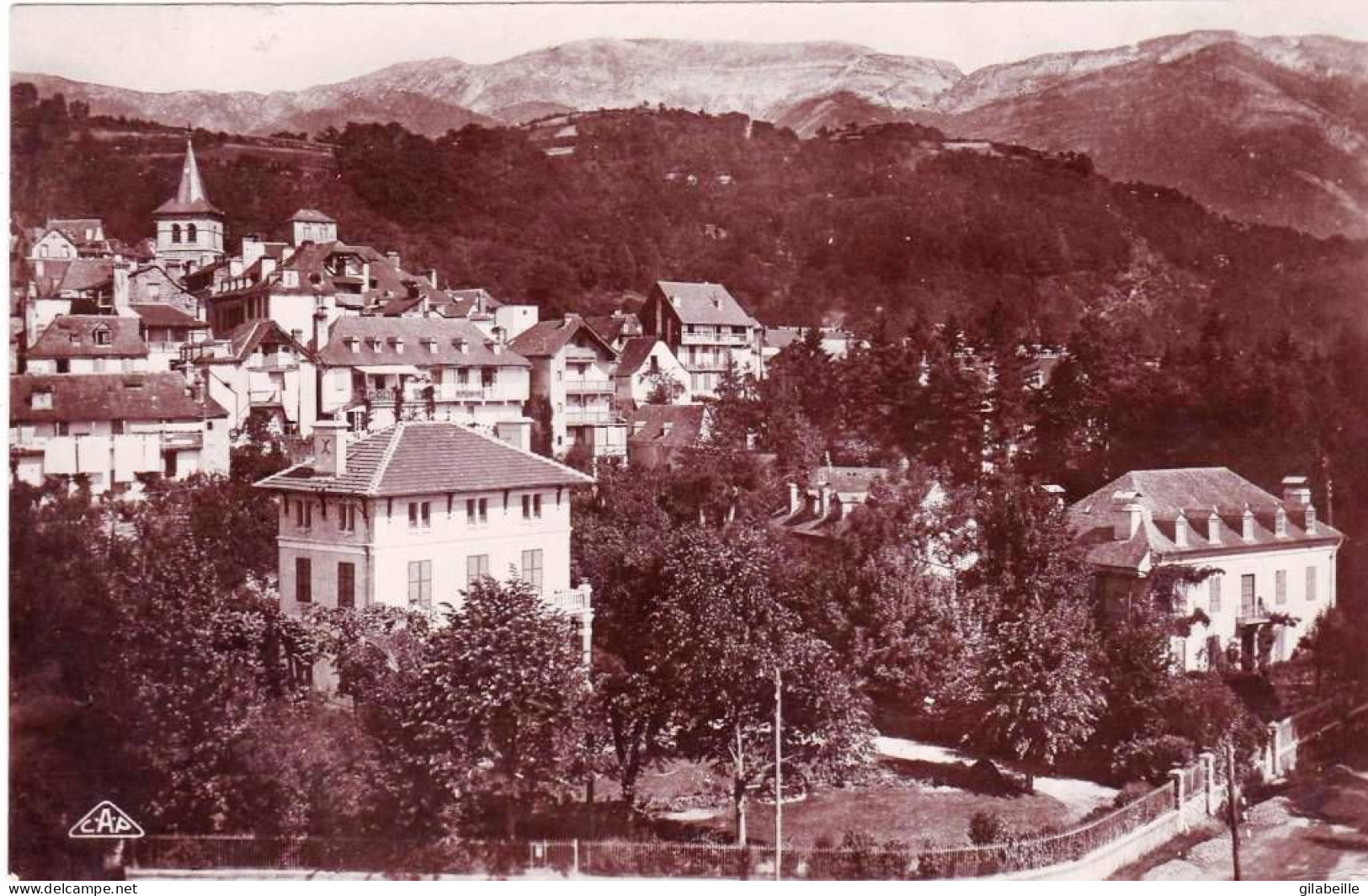 65 - Hautes Pyrénées -  ARGELES GAZOST  - Vue Prise De L Hotel Du Parc - Argeles Gazost