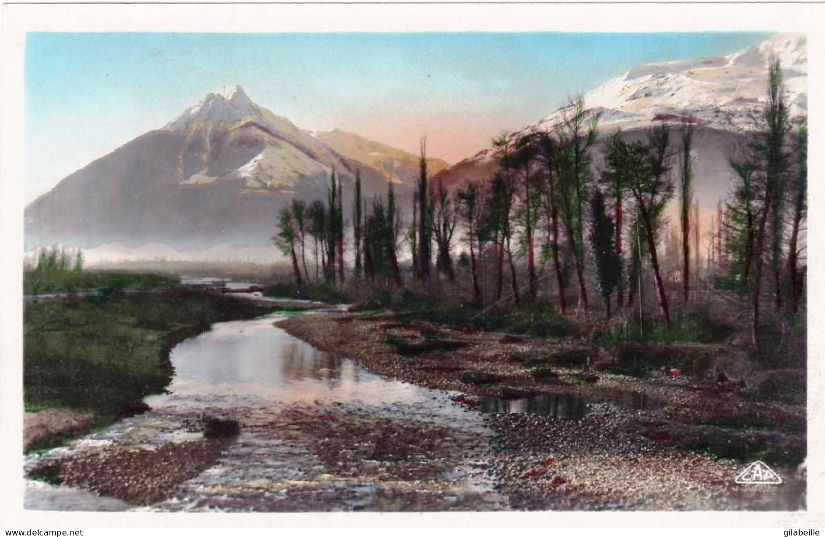 65 - Hautes Pyrenées -  ARGELES GAZOST - Le Gave Et Le Viscos - Vue Du Pont De Tillos - Argeles Gazost