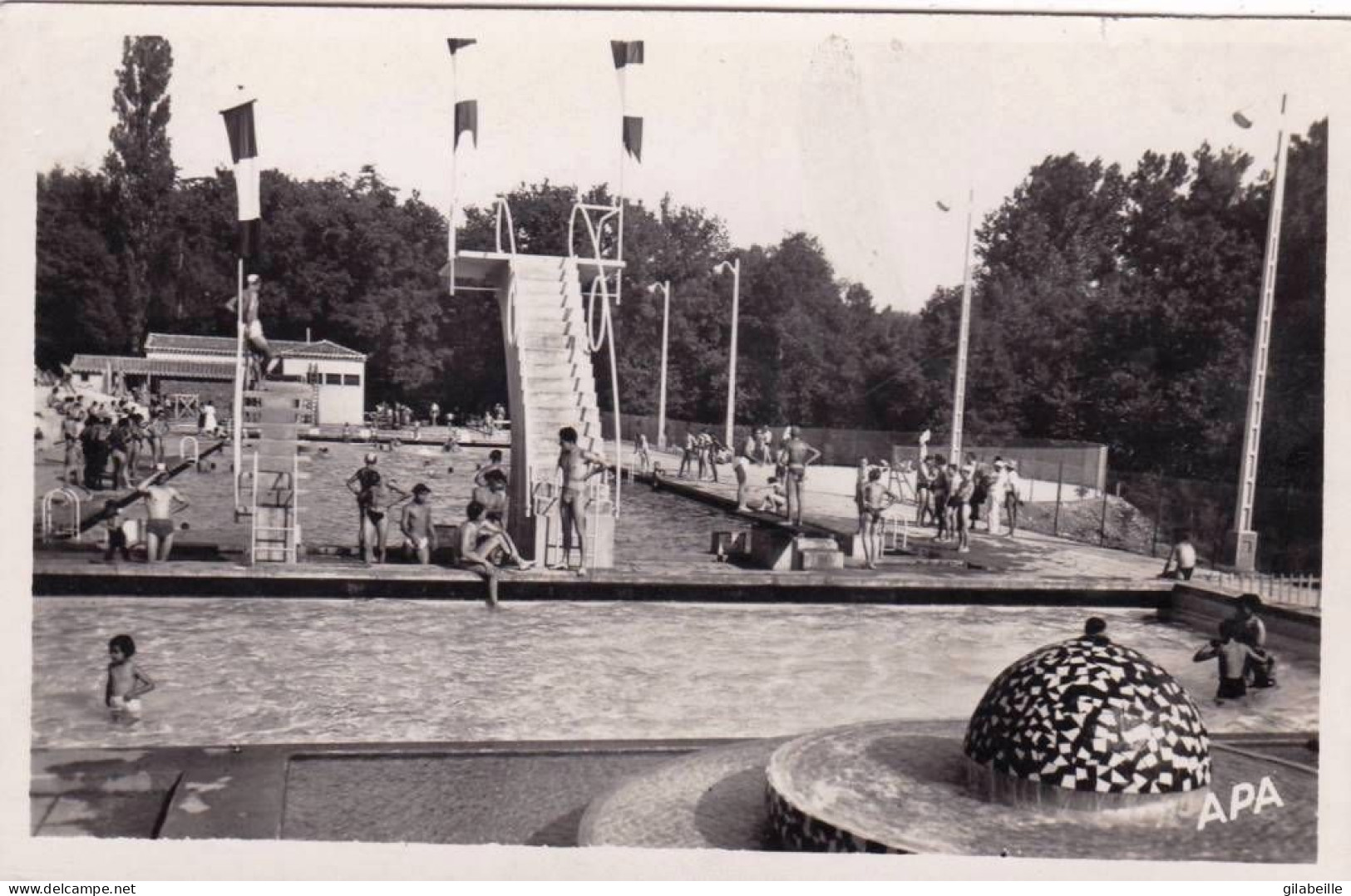 81 - Tarn -    ALBI -   Piscine Olympique Municipale Et Bassin D Enfants - Albi