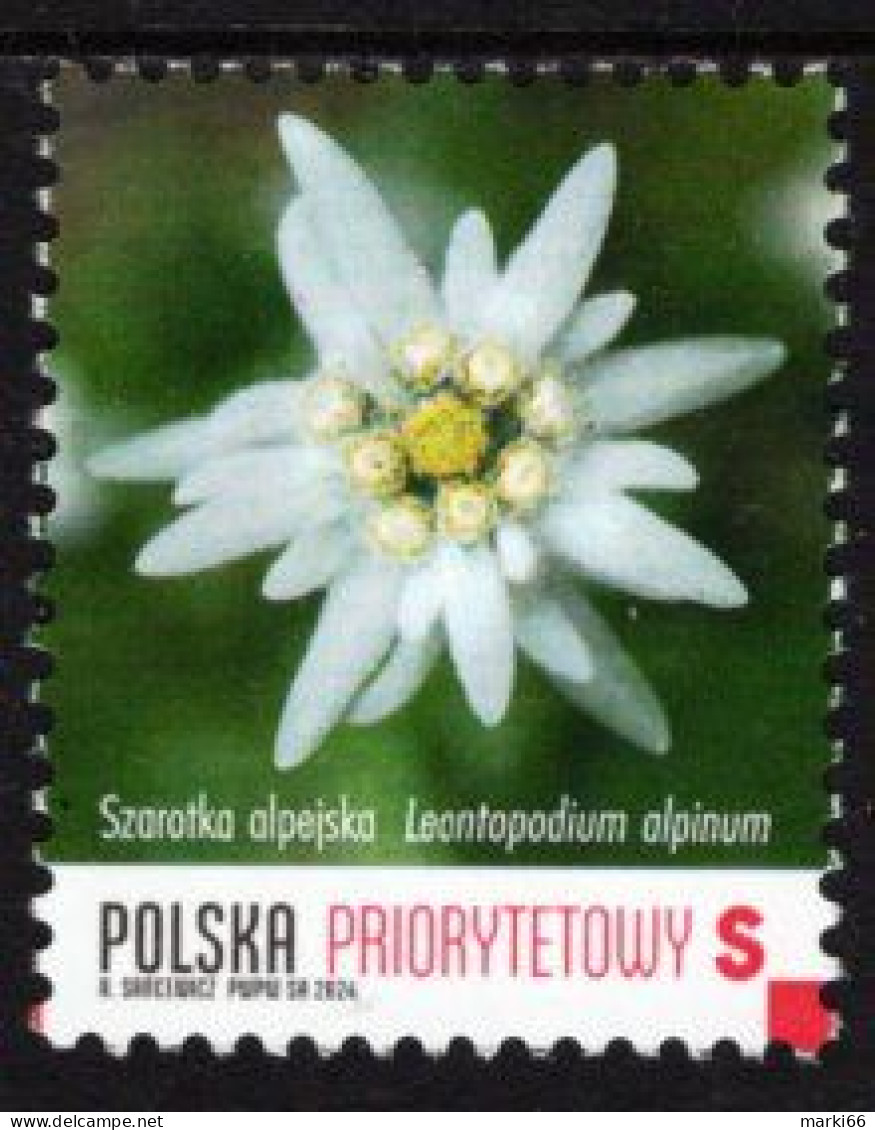 Poland - 2024 - Protected Plants - Edelweiss - Leontopodium Alpinum - Mint Definitive Stamp - Unused Stamps