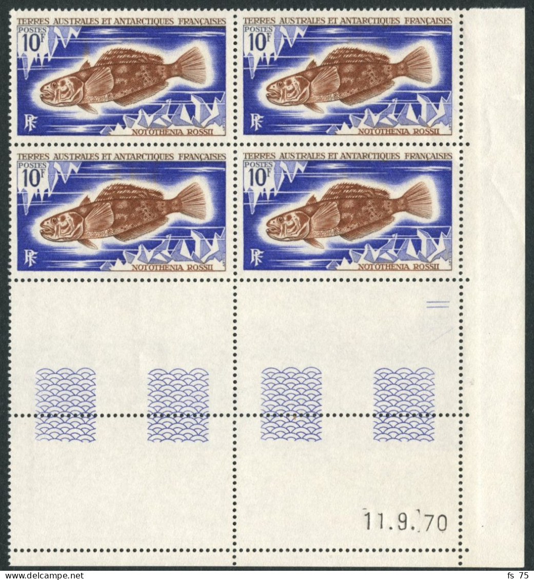 TAAF - N°34/38 - POISSONS DIVERS - BLOC DE 4  - COINS DATES - Ongebruikt