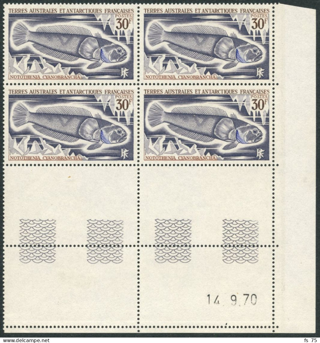 TAAF - N°34/38 - POISSONS DIVERS - BLOC DE 4  - COINS DATES - Neufs