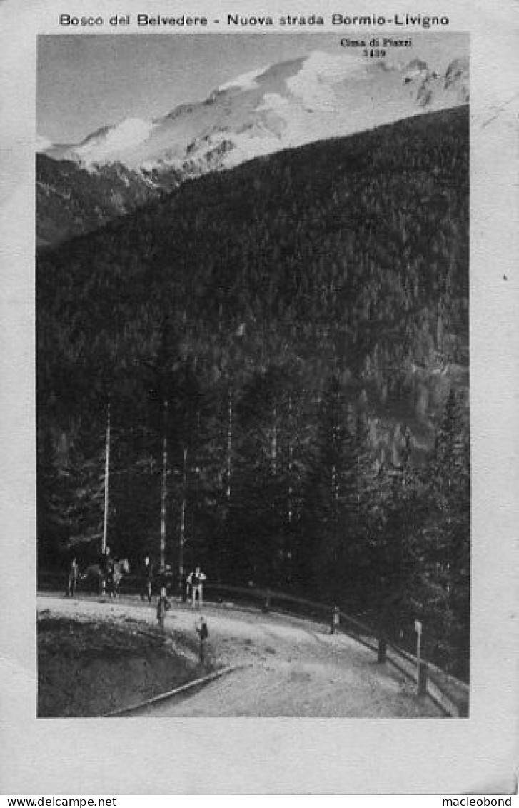 Bormio (Sondrio) - Birreria E Caffè Eden - Propr. Carlo Canclini - Sondrio