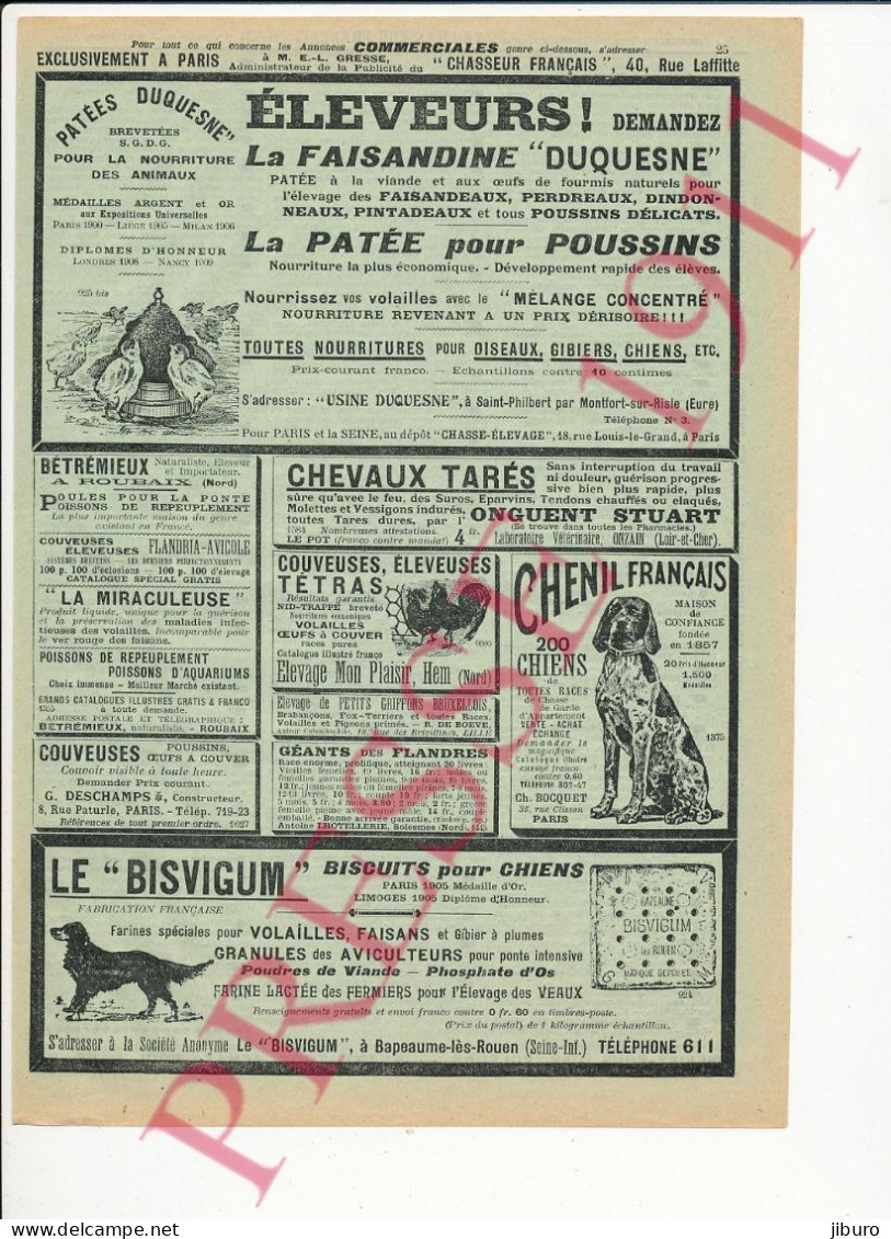 Publicité 1911 Faisandine Duquesne Saint-Philbert Patée Pour Poussins Nourriture élevage Volailles Onguent Stuart Onzain - Publicités