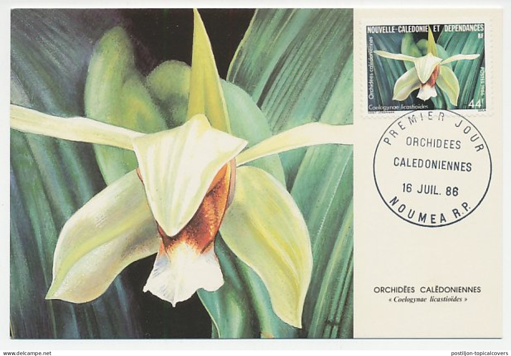 Maximum Card New Caledonia 1986 Orchid - Andere & Zonder Classificatie