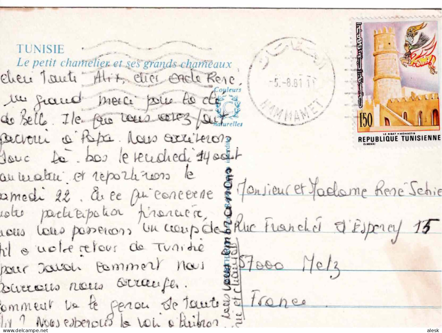 TUNISIE N°841 (y&t) Hammamet 5 Août 1981 Pour Metz / Le Ribat - CP Le Chamelier - Tunisie (1956-...)