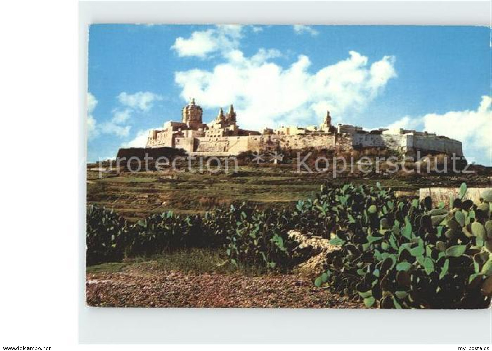 72225236 Mdina Malta Kathedrale Mdina Malta - Malte