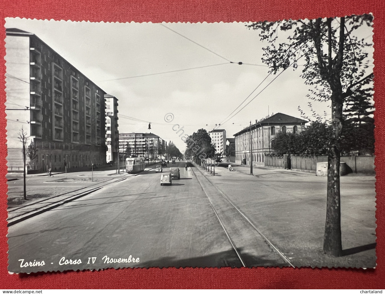 Cartolina - Torino - Corso IV Novembre 1950 Ca. - Otros & Sin Clasificación