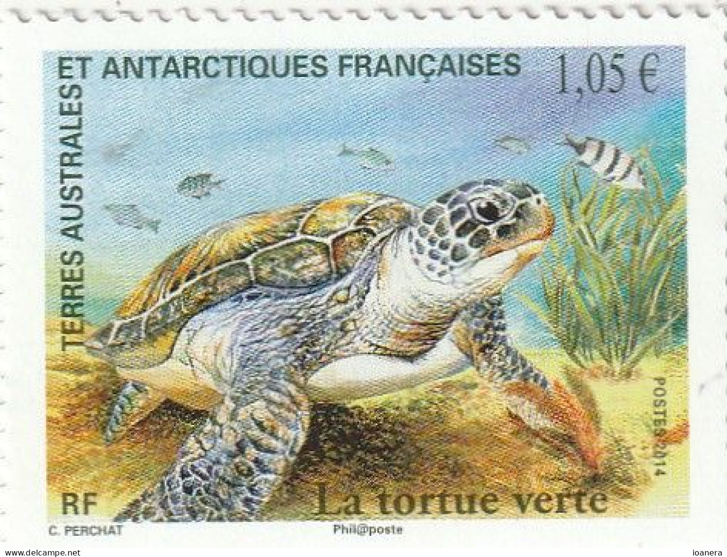 Taaf 2014 - Green Sea Turtle, MNH , Mi.865 - Ungebraucht