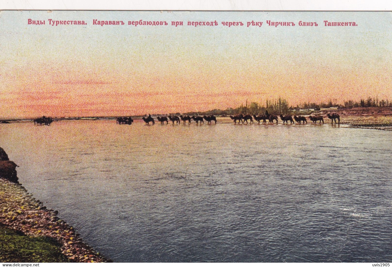 Turkestan.Camel Caravan. - Russie