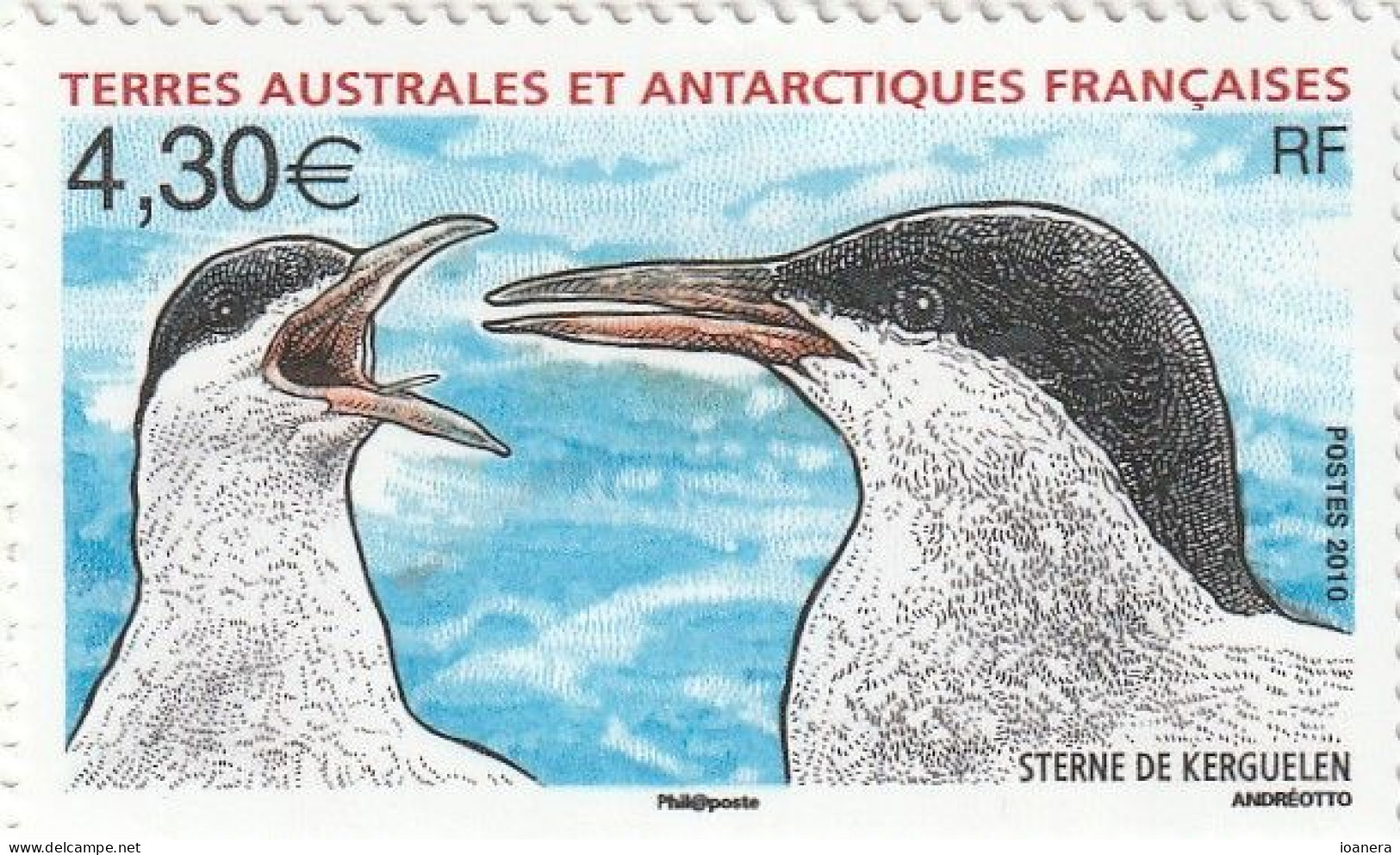 Taaf 2010 - Fauna , Bird Of Antarctica , Kerguelen Tern , MNH , Mi.705 - Neufs