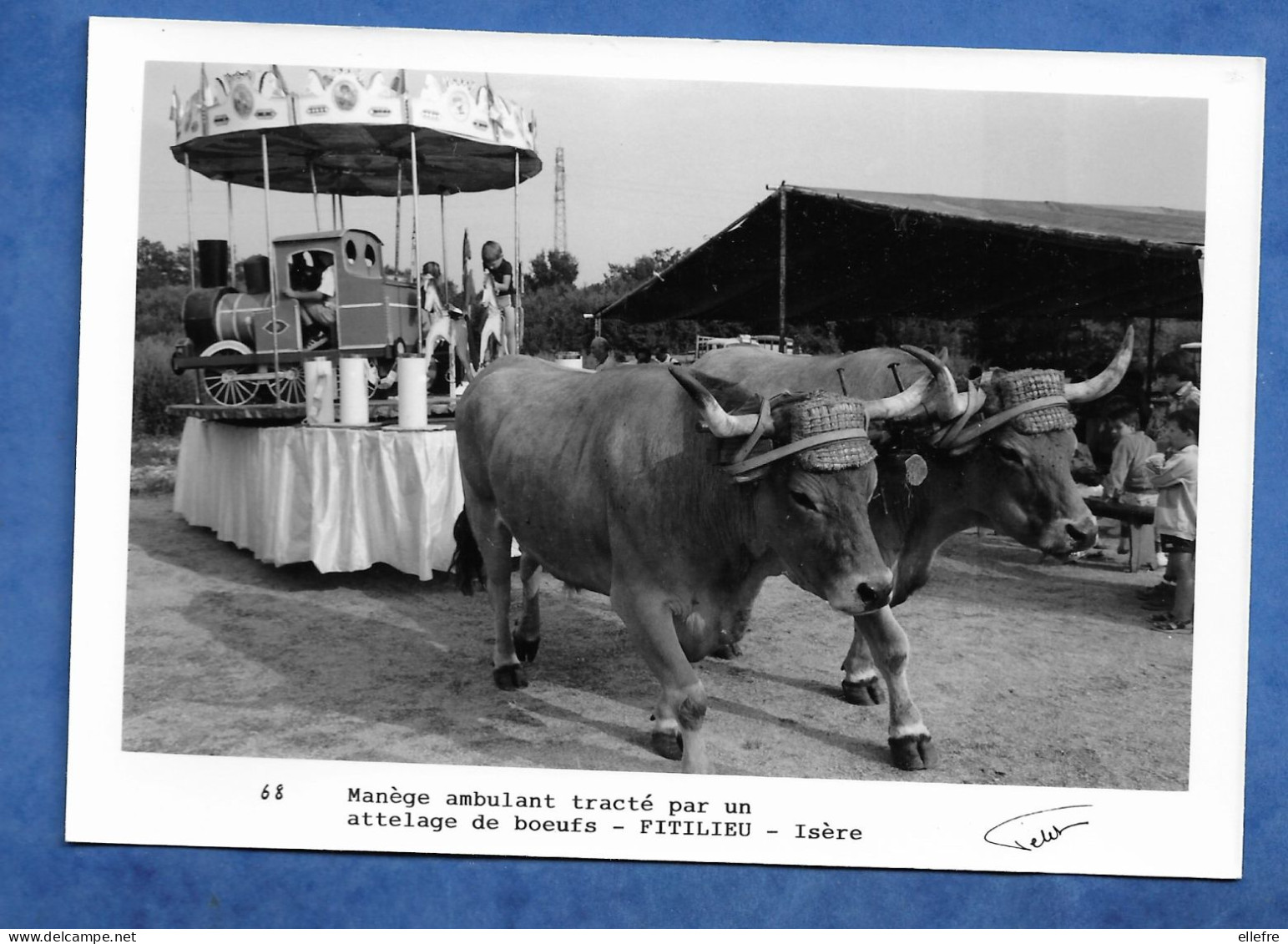 CPSM 38 FITILIEU LES ABRETS Carte Photo Manège Ambulant Tracté Par Un Attelage De Bœufs Photo PETIT Signée 50 Exp - Andere & Zonder Classificatie