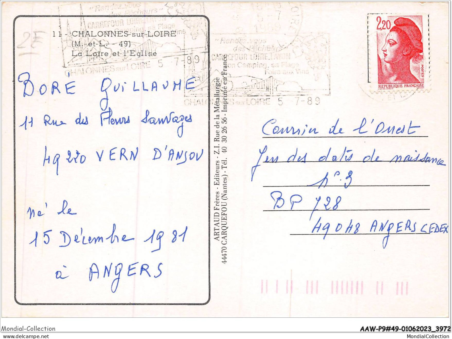 AAWP9-49-0771 - CHALONNES-SUR-LOIRE - La Loire Et L'Eglise - Chalonnes Sur Loire