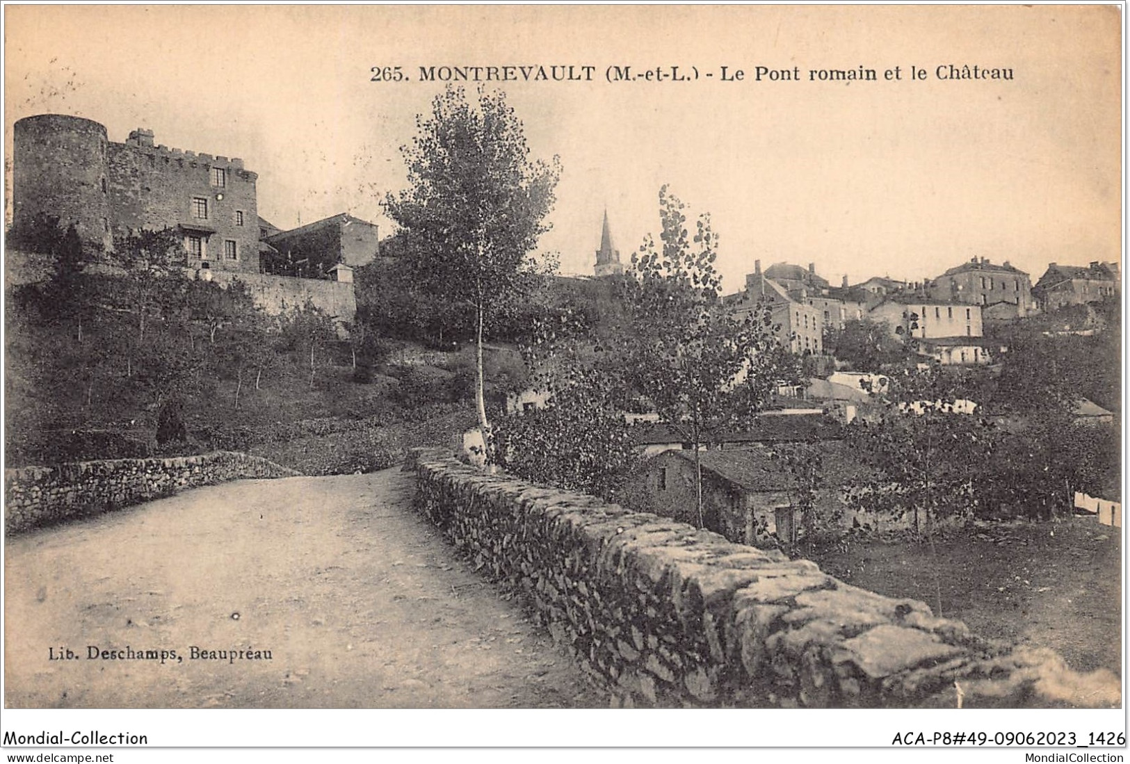 ACAP8-49-0717 - MONTREVAULT - Le Pont Romain Et Le Chateau  - Montrevault