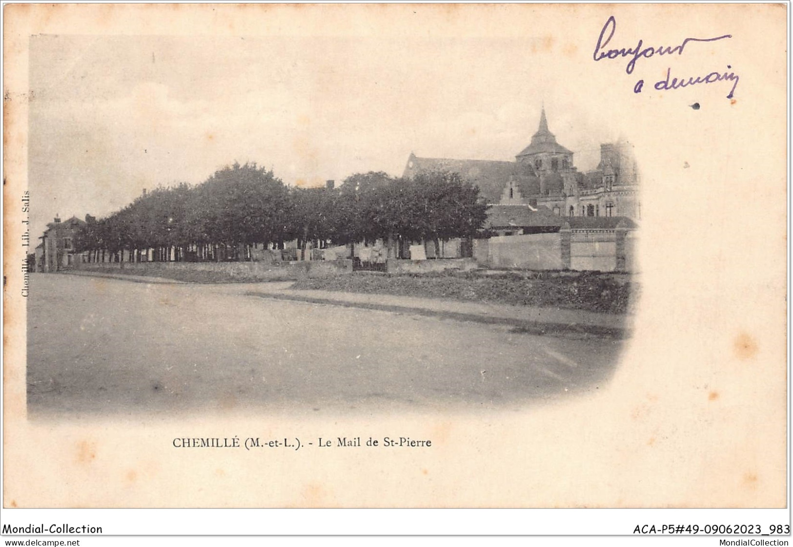 ACAP5-49-0495 - CHEMILLE - Le Mail De St Pierre  - Chemille