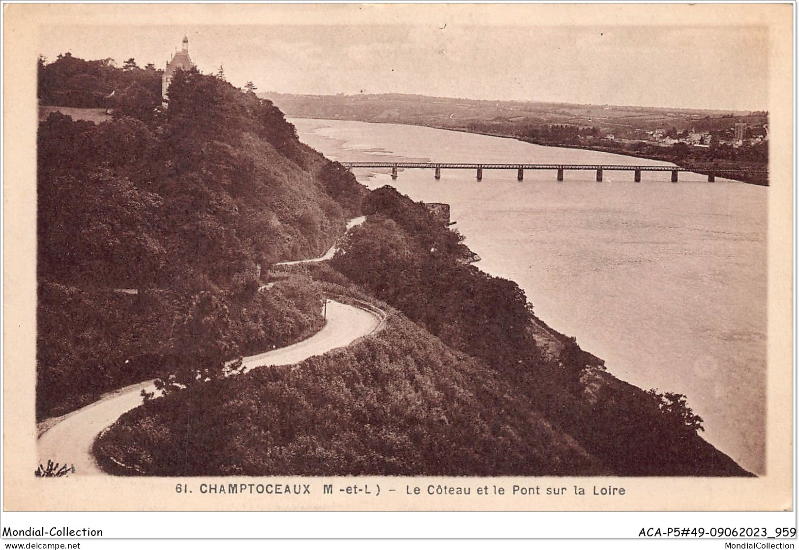 ACAP5-49-0483 - CHAMPTOCEAUX - Le Coteaux Et Le Pont Sur La Loire  - Champtoceaux