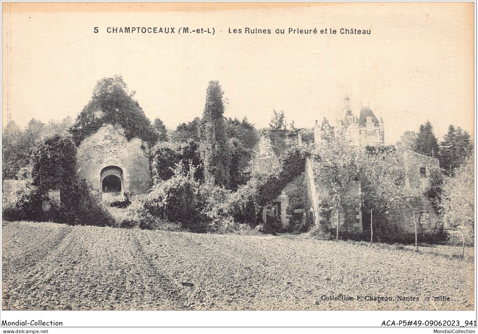 ACAP5-49-0474 - CHAMPTOCEAUX - Les Ruines Du Prieuré Et Le Chateau  - Champtoceaux