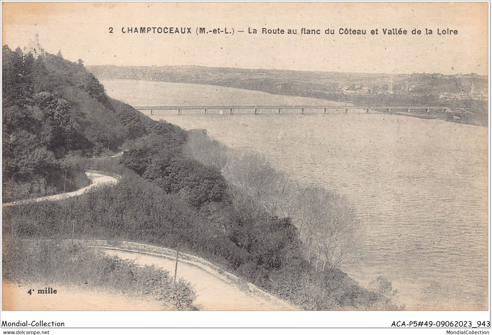ACAP5-49-0475 - CHAMPTOCEAUX - La Route Au Flanc Du Coteau Et Vallée De La Loire  - Champtoceaux