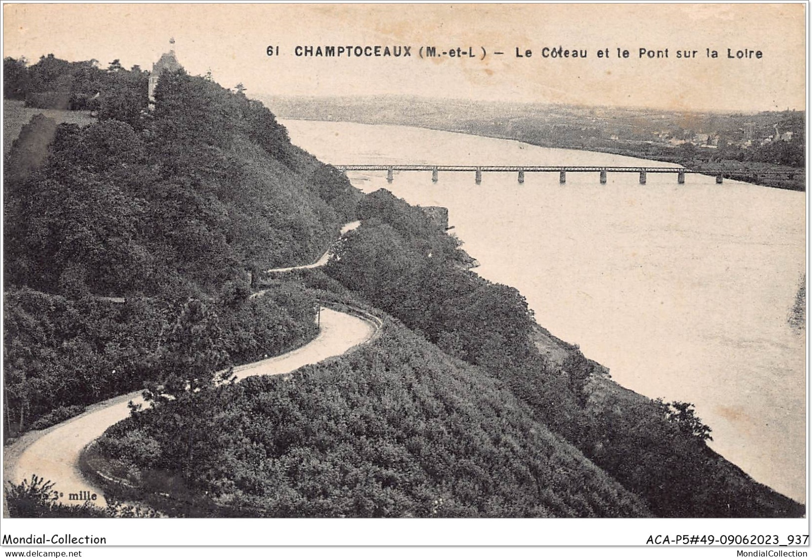 ACAP5-49-0472 - CHAMPTOCEAUX - Le Coteaux Et Le Pont Sur La Loire  - Champtoceaux