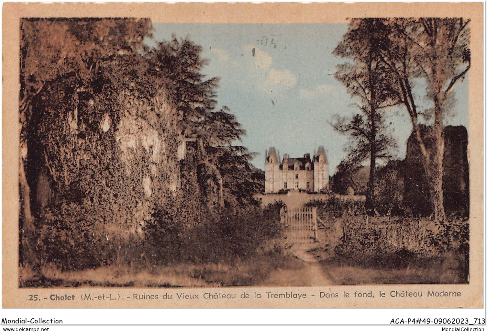 ACAP4-49-0360 - CHOLET - Ruines Du Vieux Chateau De La Tremblaye  - Cholet