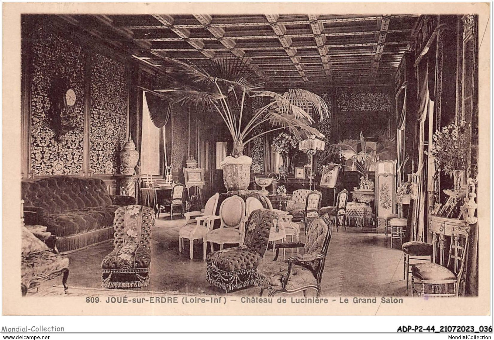 ADPP2-44-0112 - JOUE-SUR-ERDRE - Château De Lucinière - Le Grand Salon - Sonstige & Ohne Zuordnung