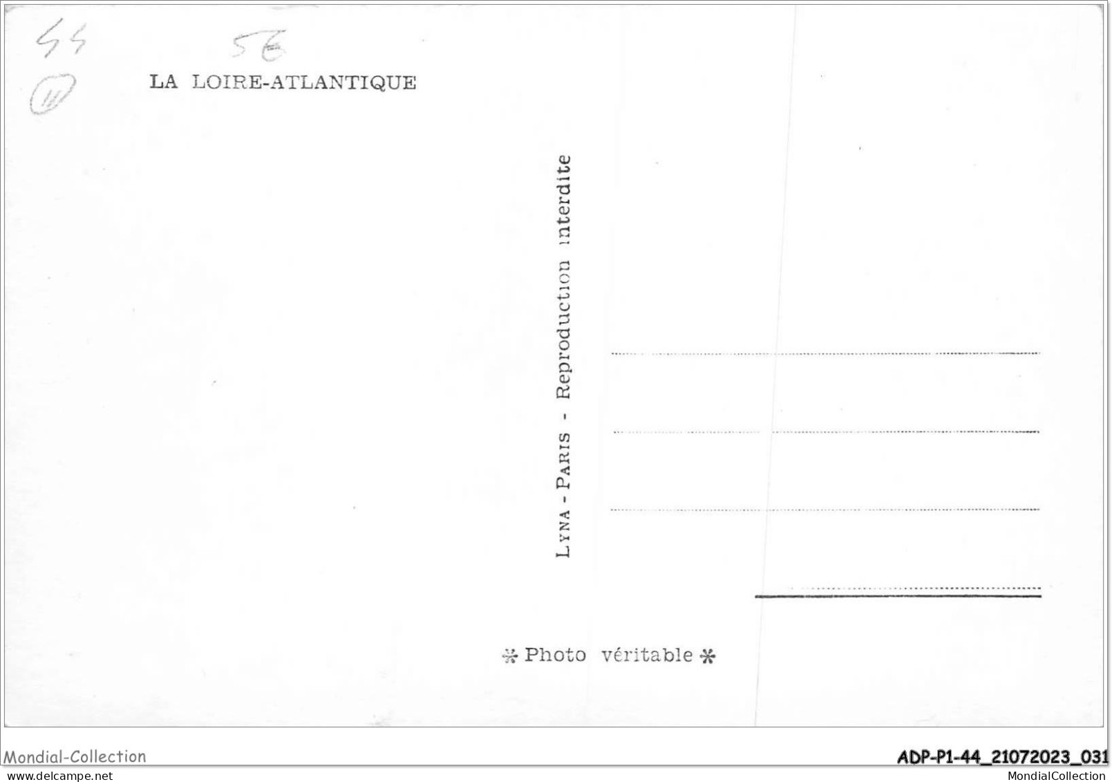 ADPP1-44-0016 - La Loire Atlantique  - Sonstige & Ohne Zuordnung