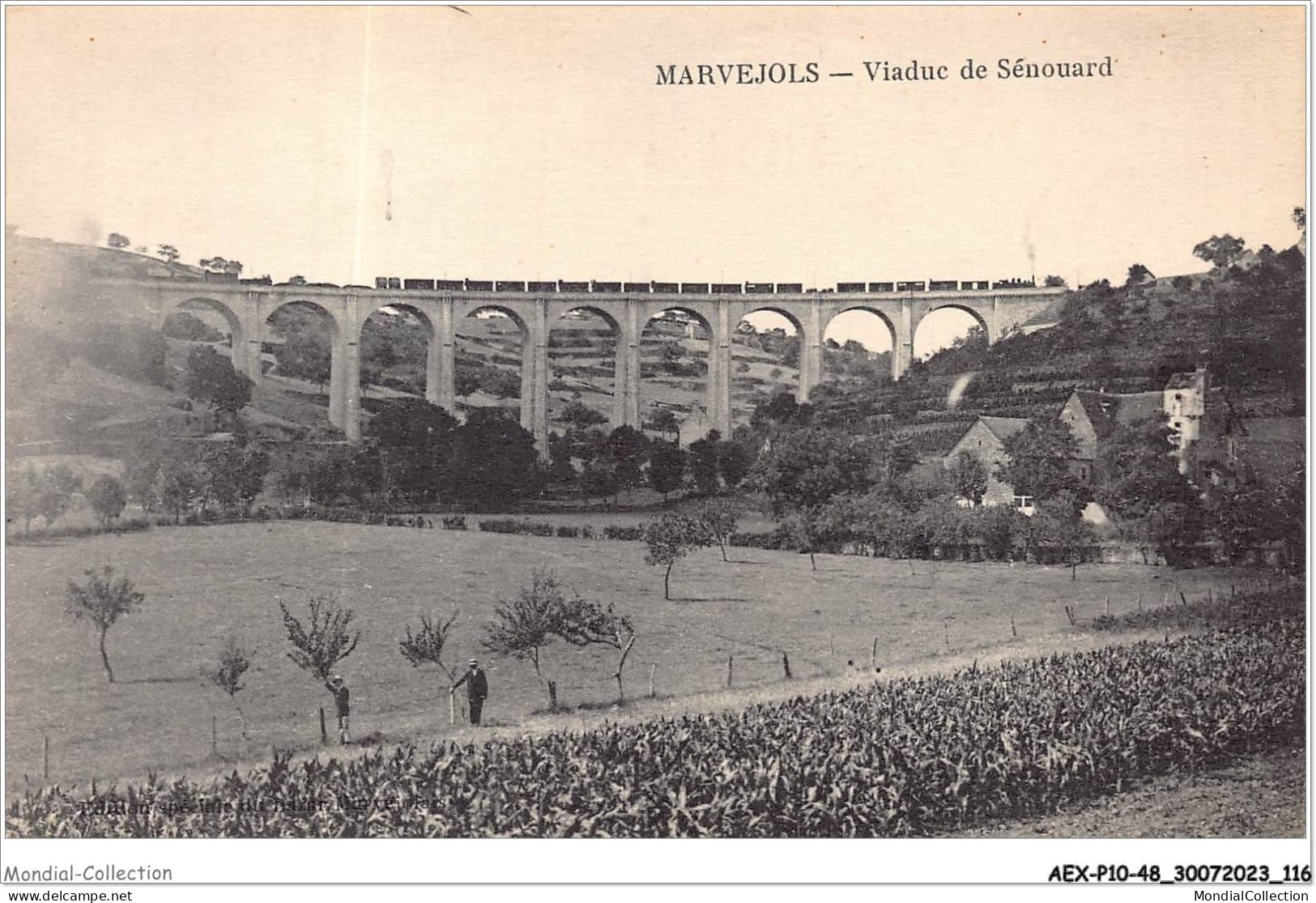 AEXP10-48-0958 - MARVEJOLS - Viaduc De Sénouard  - Marvejols