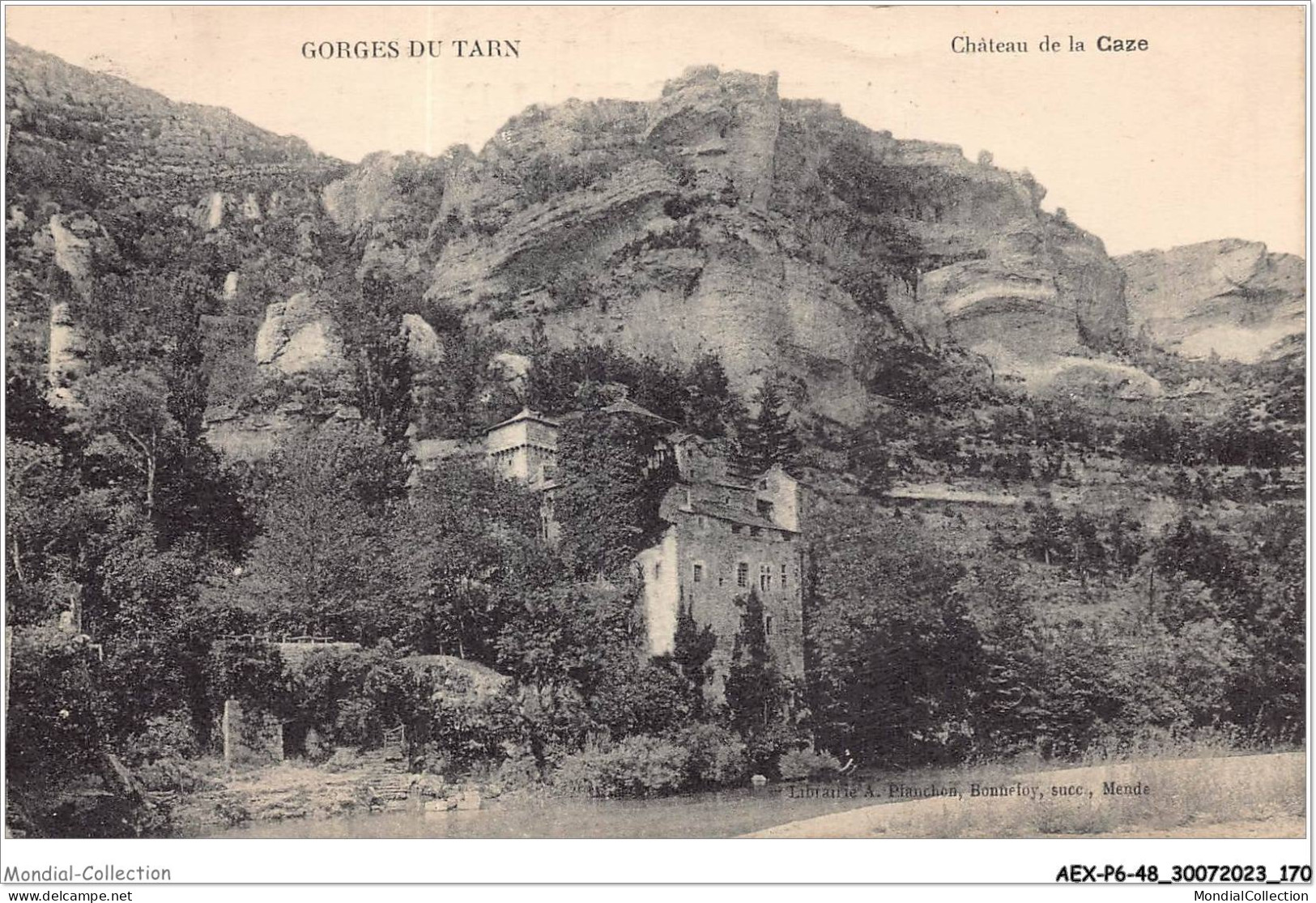 AEXP6-48-0606 - GORGES DU TARN - Château De La Caze  - Gorges Du Tarn