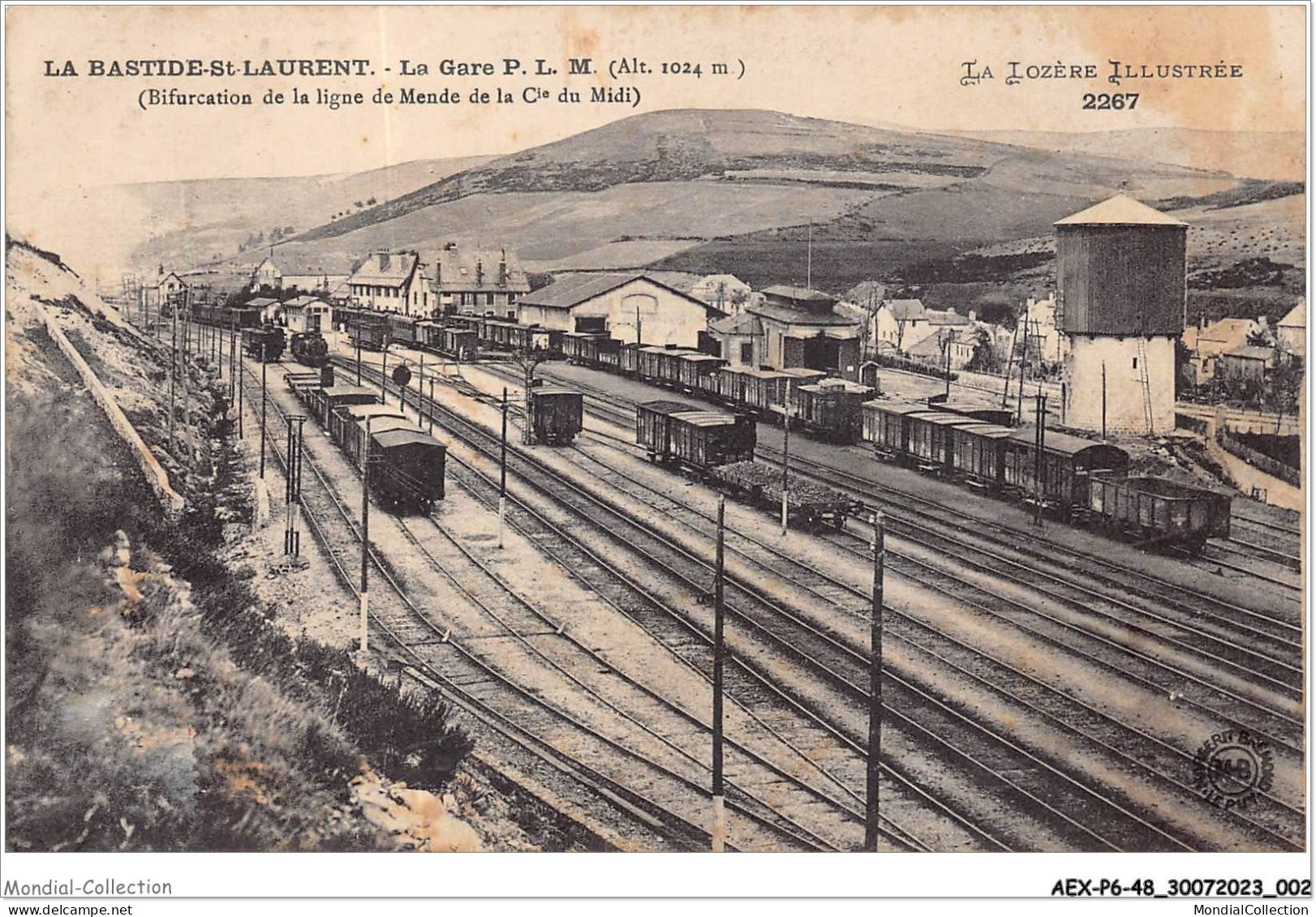 AEXP6-48-0522 - LA BASTIDE-ST-LAURENT - La Gare - Bifurucation De La Ligne De Mende De La Cie Du Midi  - Mende