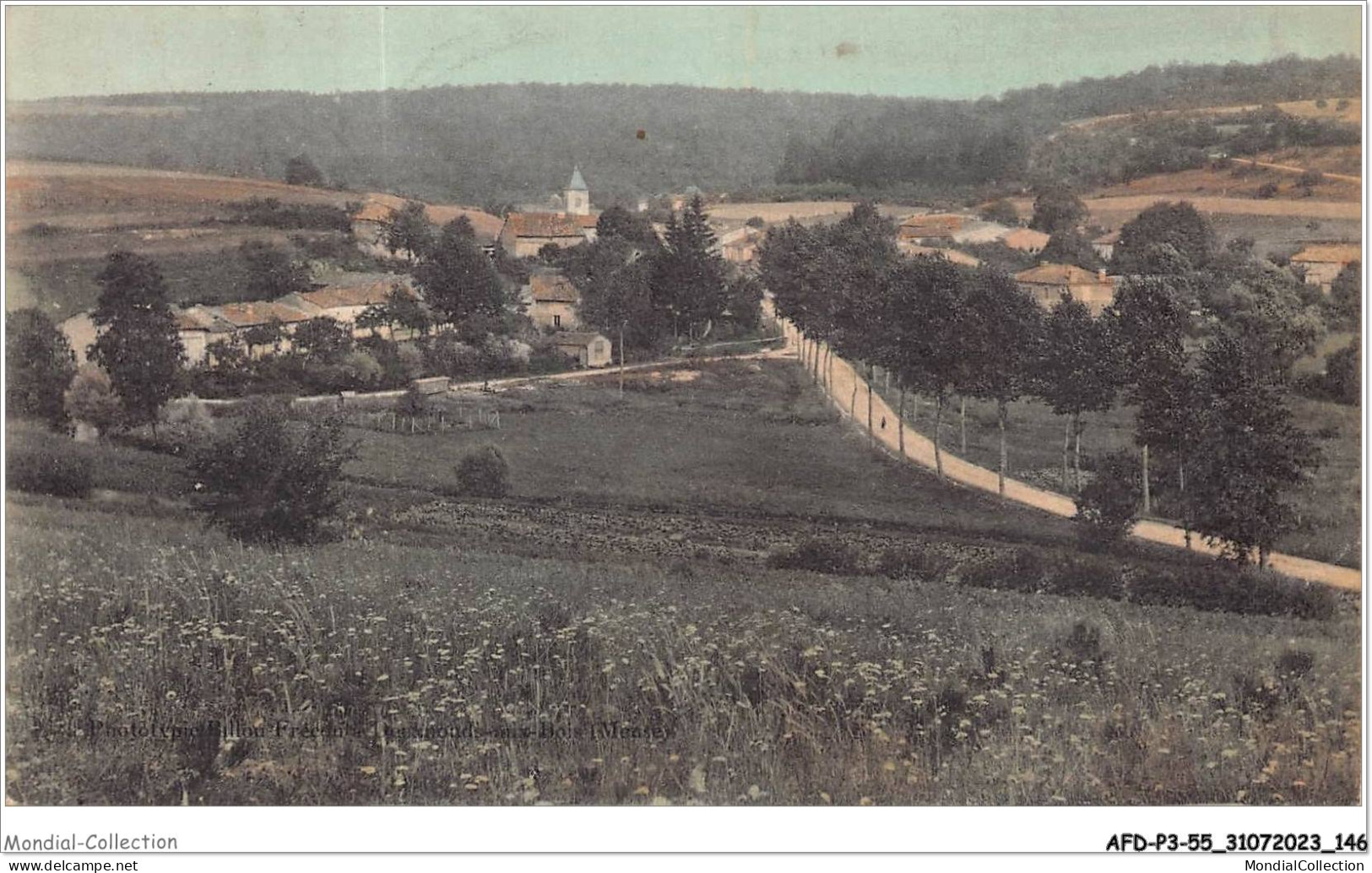 AFDP3-55-0338 - SEUZEY - Vue Panoramique - Commercy