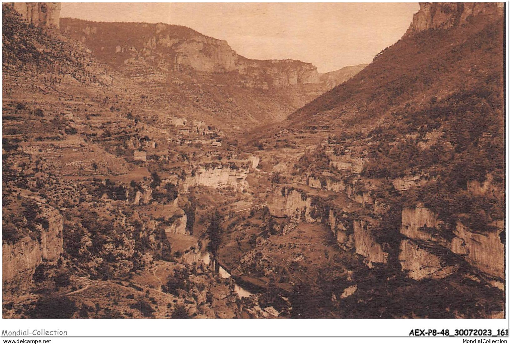 AEXP8-48-0810 - VALLEE DE LA JONTE - Panorama Des Terrasses  - Sonstige & Ohne Zuordnung