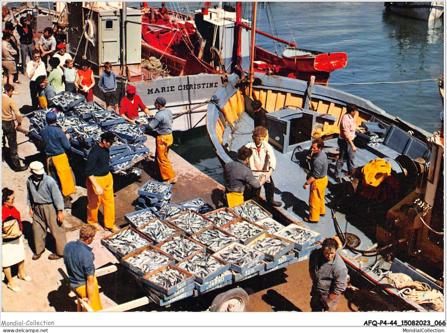 AFQP4-44-0353 - LA TURBALLE - Débarquement De Sardines Au Port  - La Turballe