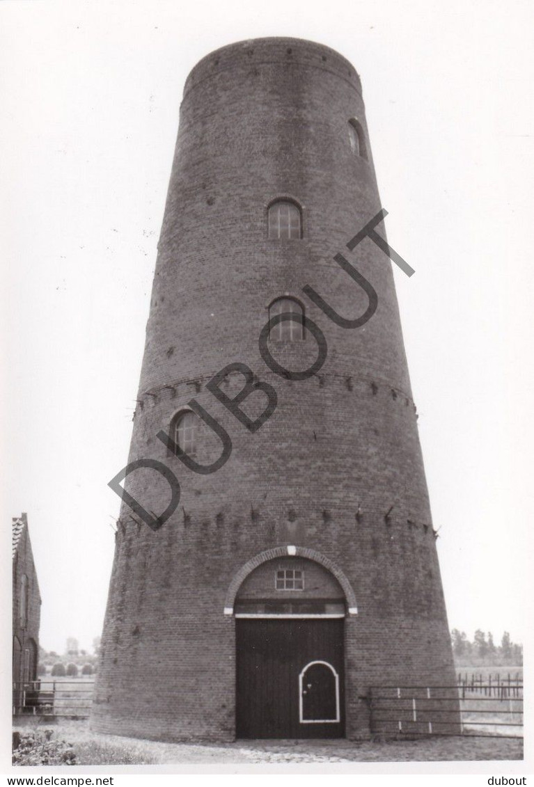 Sluis  - Ter Hofheide Molen De Meermin - Originele Foto  (C6091) - Sluis