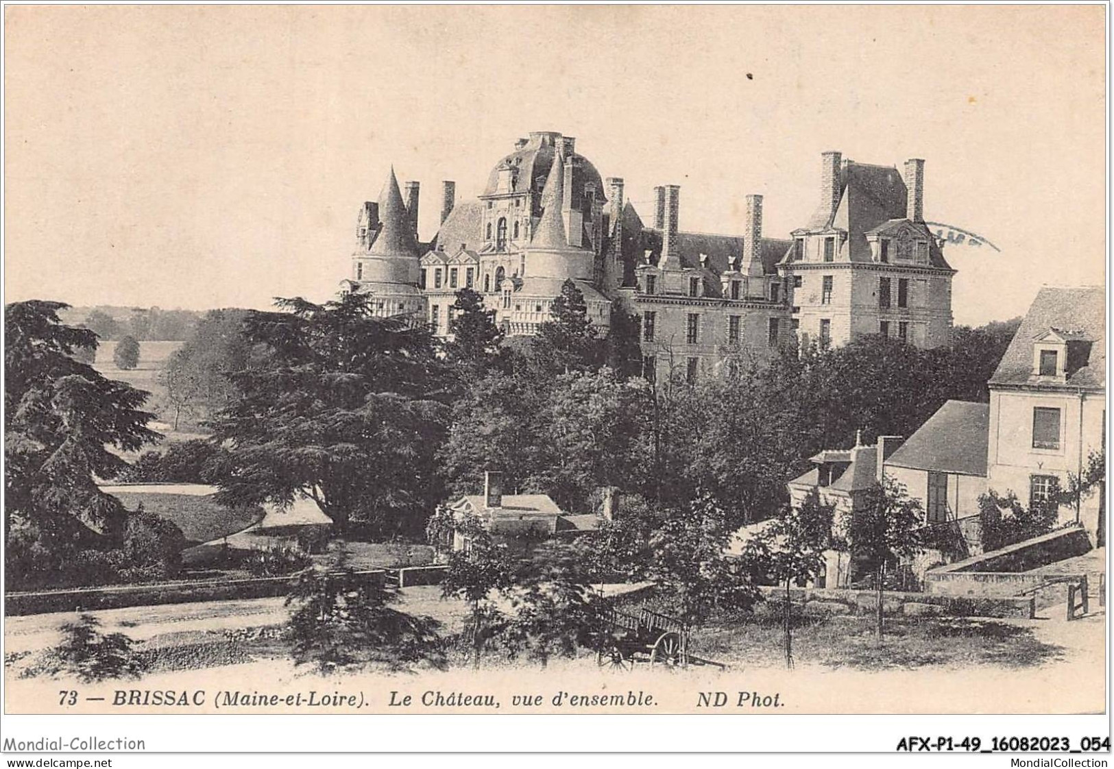 AFXP1-49-0028 - BRISSAC - Le Chateau - Vue D'ensemble - Angers