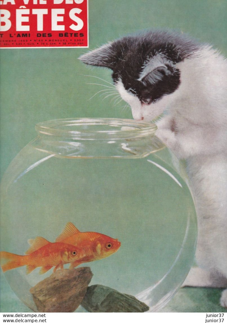 2 La Vie Des Bêtes N° 61 1963 & N° 65 1963 - Animales
