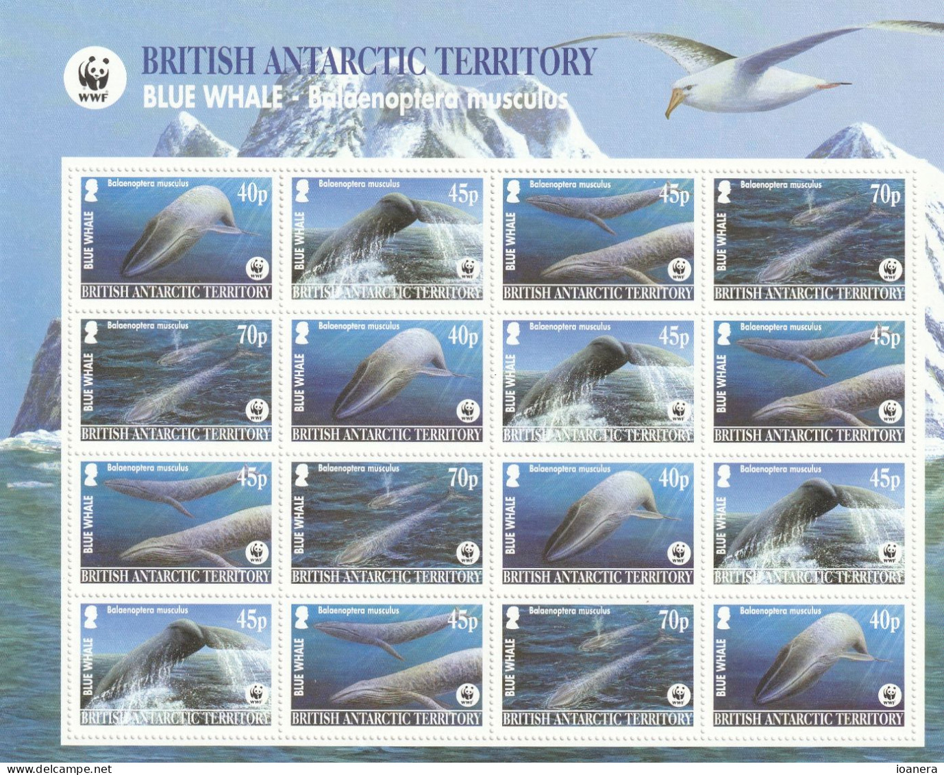 Bat 2003  - Fauna , WWF , Blue Whale , Bloc ,MNH , Mi Col.GB-AT - 1e - Neufs