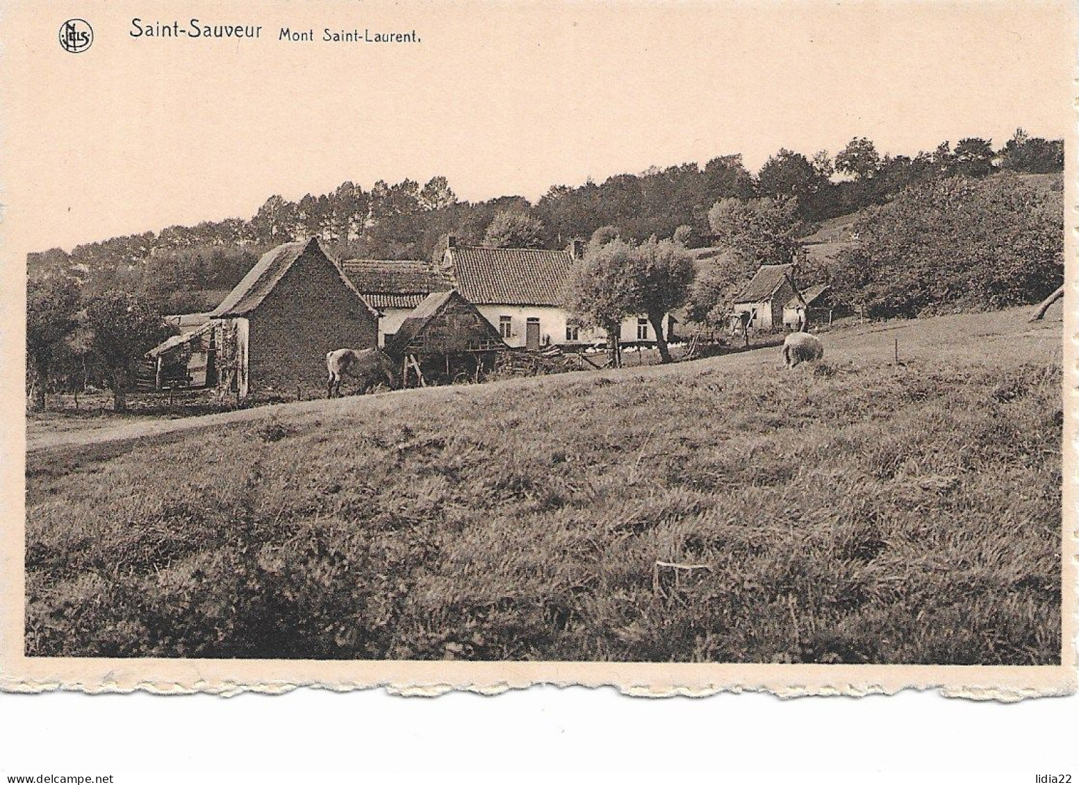 Saint Sauveur (Frasnes Les Anvaing)  Mont Saint-Laurent - Frasnes-lez-Anvaing