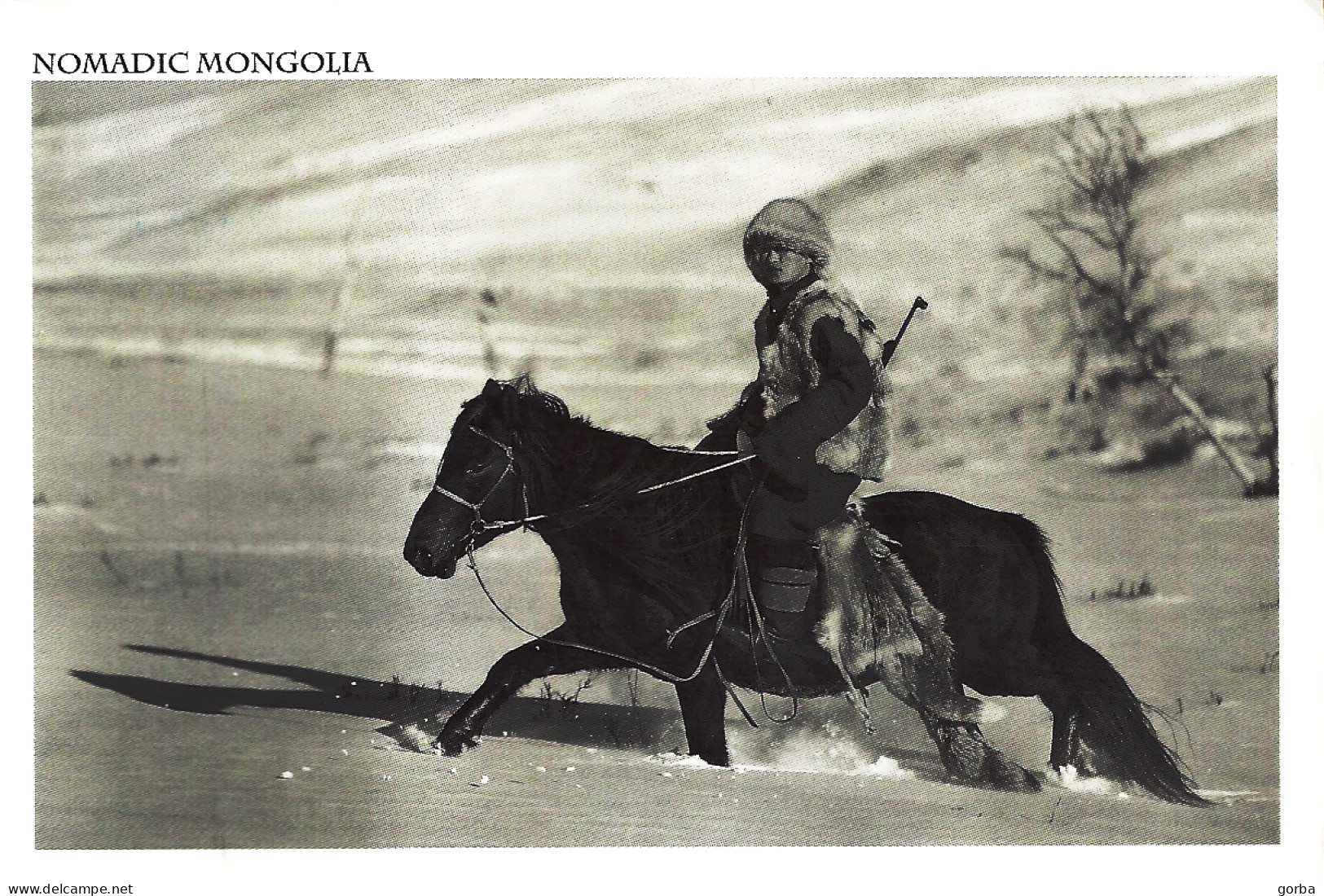 *CPM - MONGOLIE - TUV - Chasseur à Cheval - Mongolie